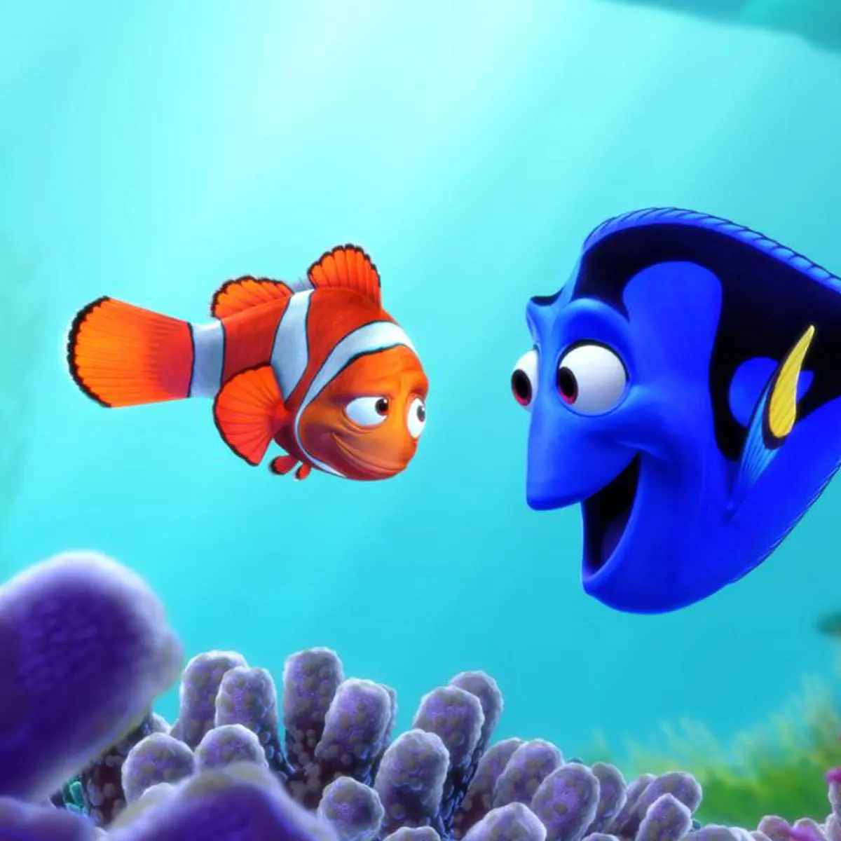 Detail Ikan Nemo Dan Dory Nomer 10