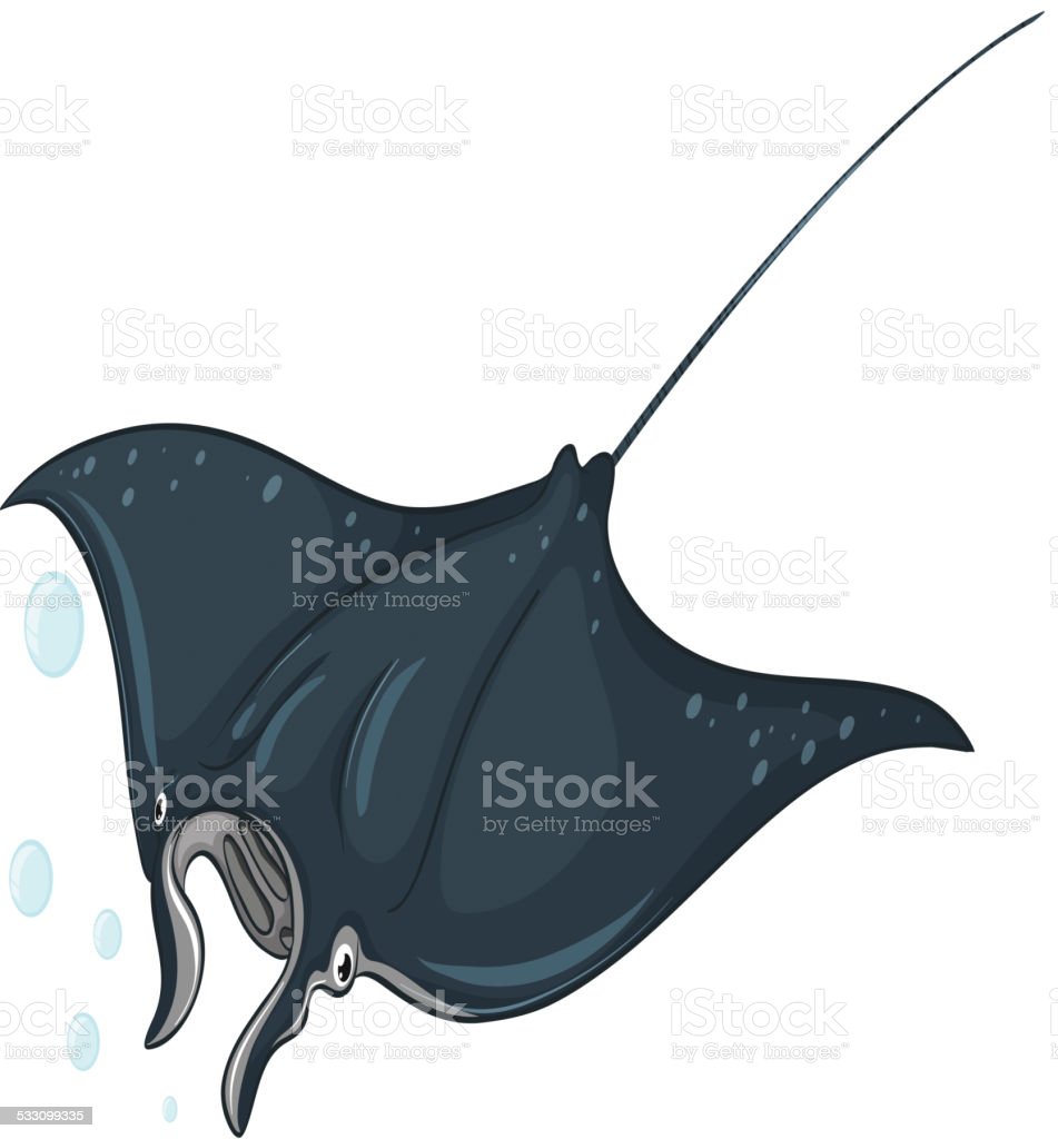 Detail Ikan Pari Vector Nomer 15