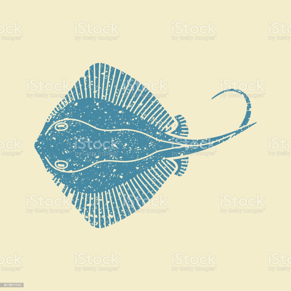 Detail Ikan Pari Vector Nomer 23