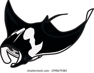 Detail Ikan Pari Vector Nomer 28