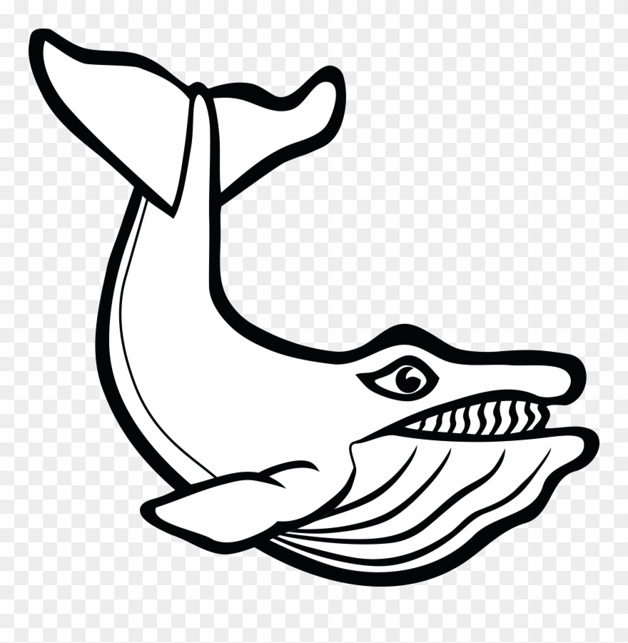 Detail Ikan Paus Vector Nomer 10
