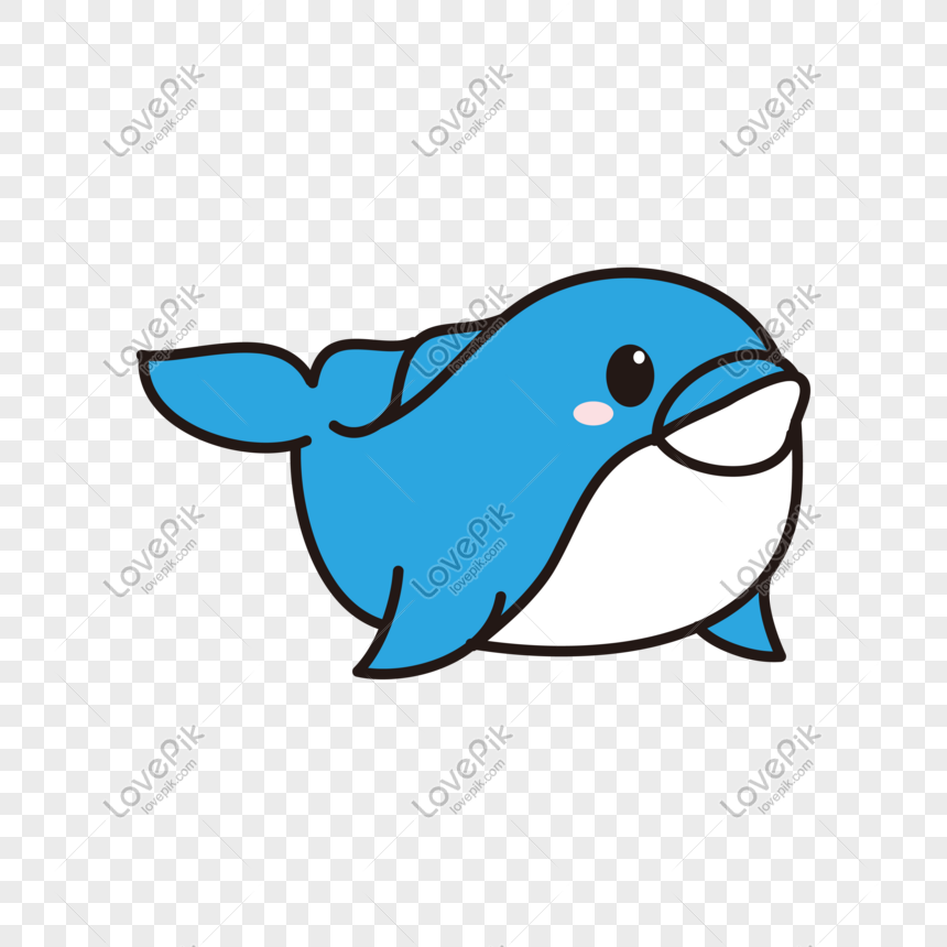 Detail Ikan Paus Vector Nomer 28