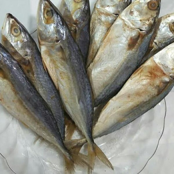 Detail Ikan Peda Asin Nomer 10