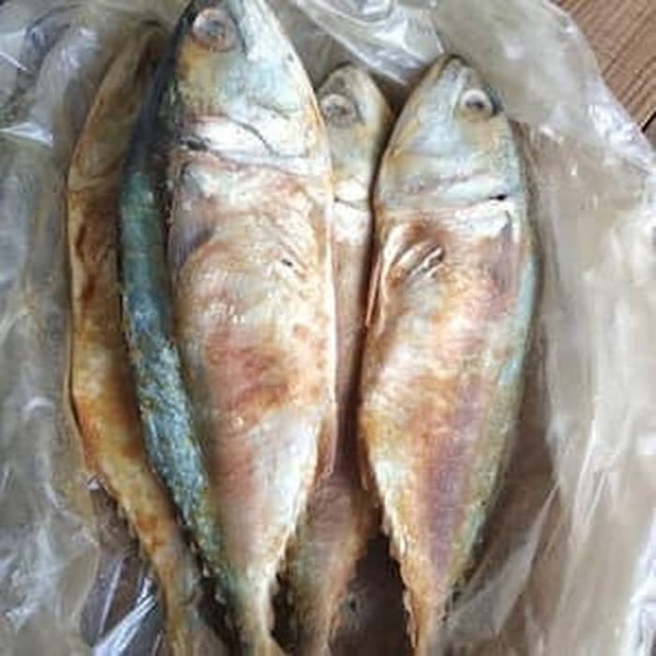 Detail Ikan Peda Asin Nomer 19