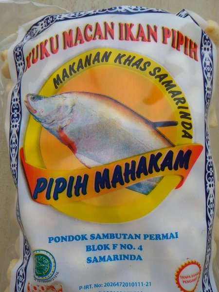 Detail Ikan Pipih Png Nomer 31