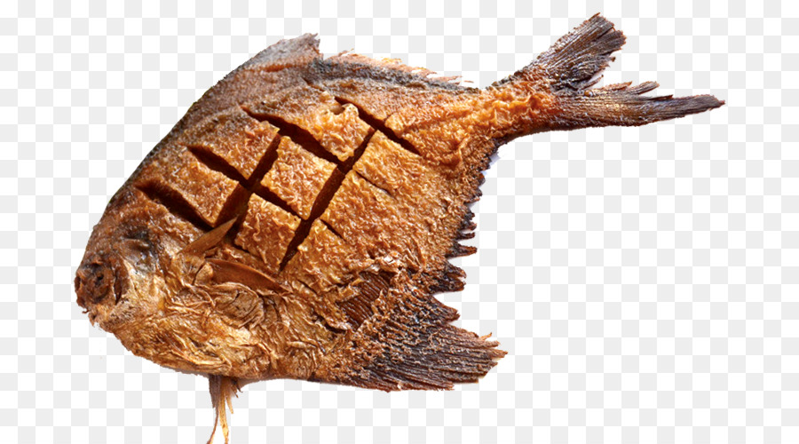 Detail Ikan Pipih Png Nomer 4