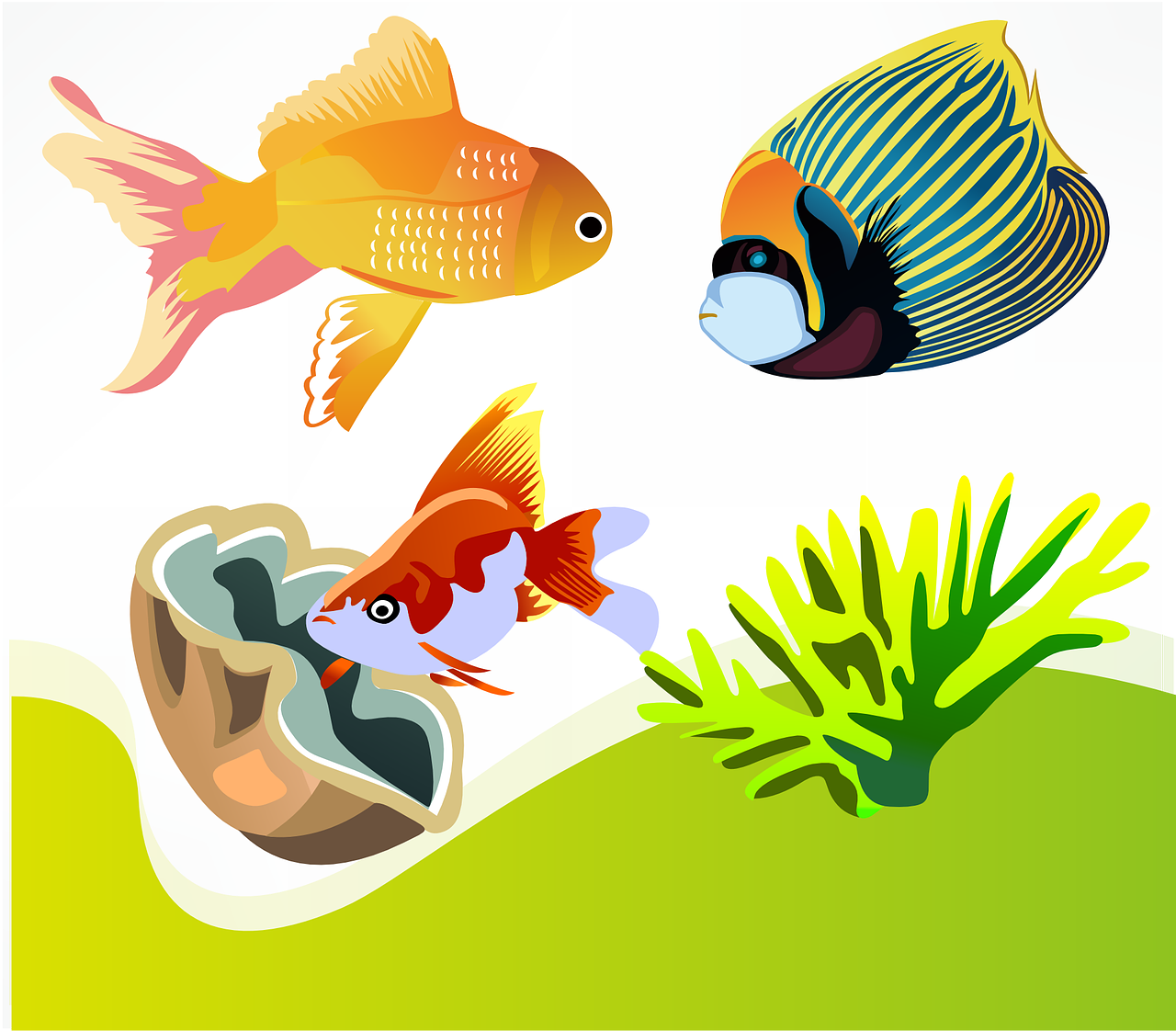 Detail Ikan Png Vector Nomer 23