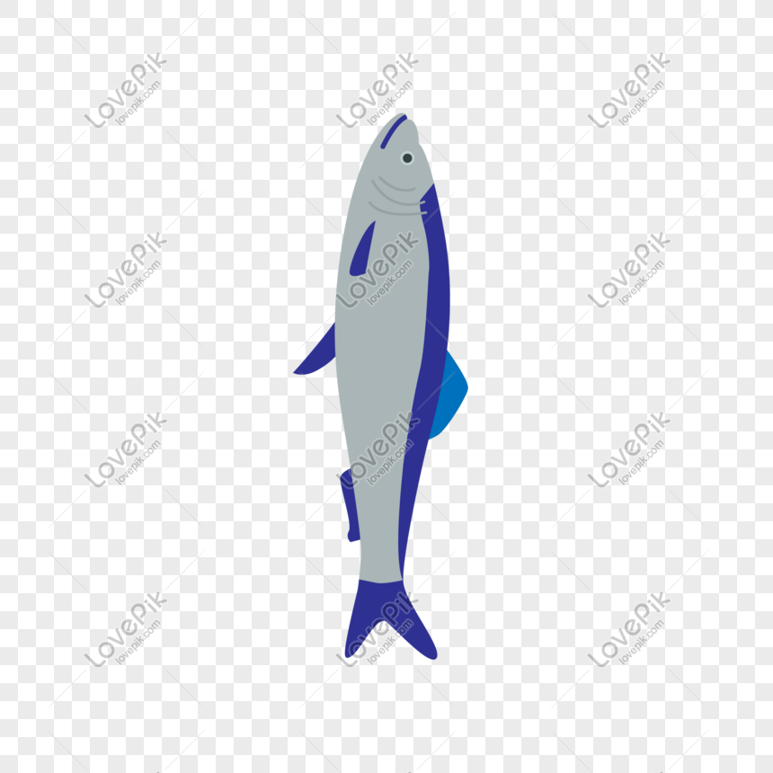 Detail Ikan Png Vector Nomer 38