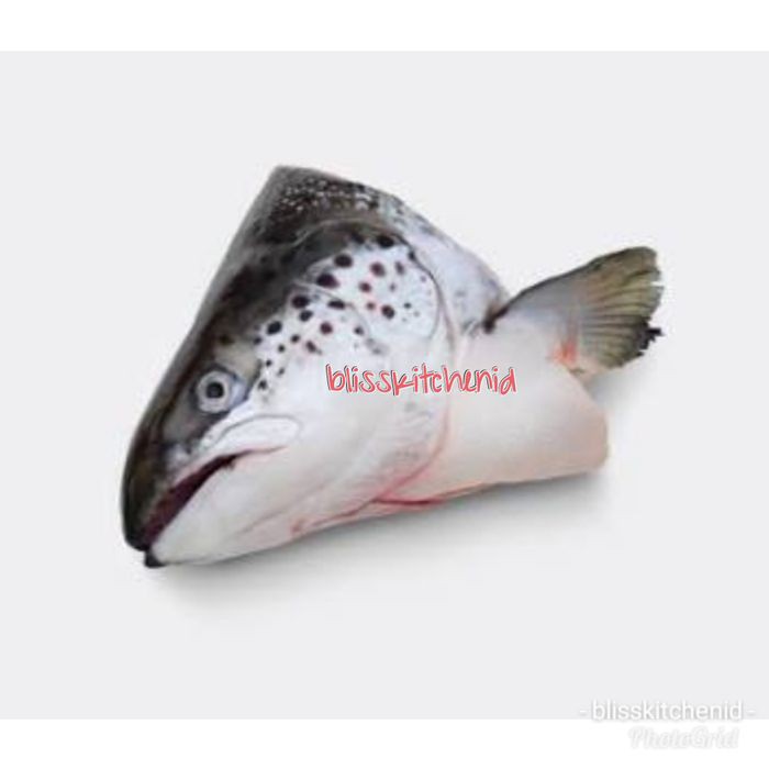 Detail Ikan Salmon Png Nomer 43