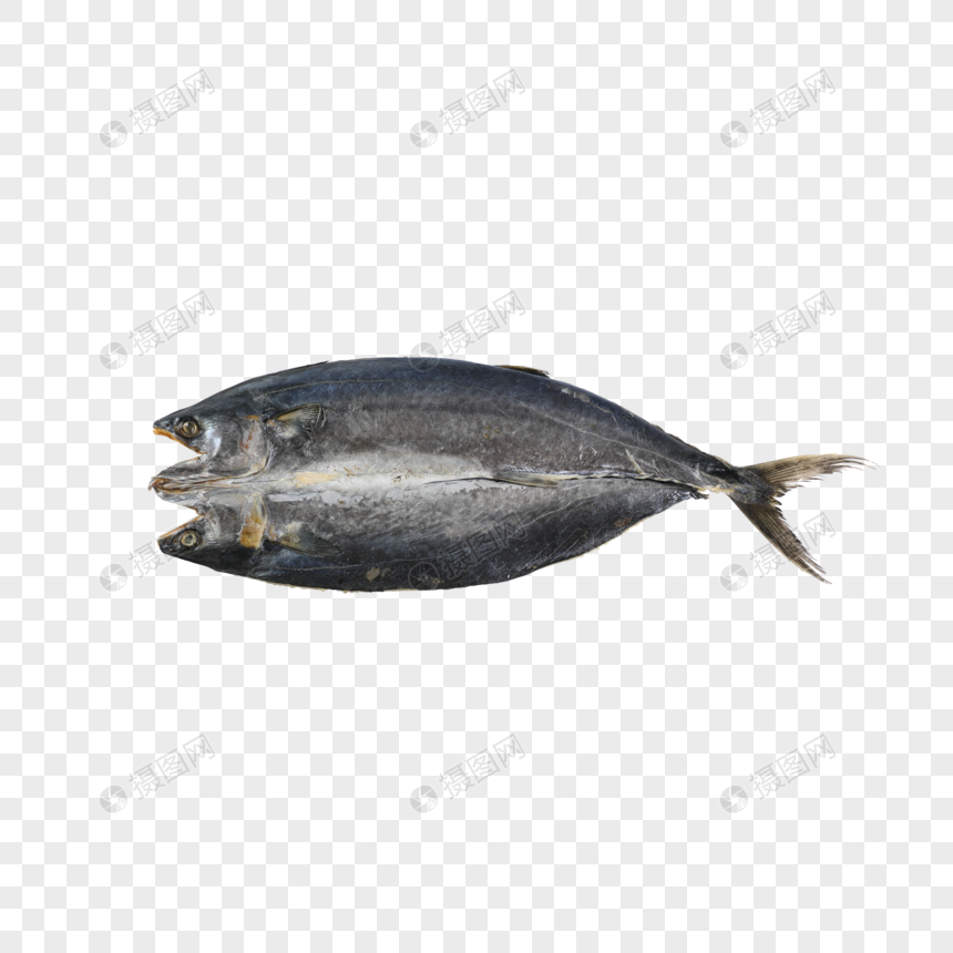 Download Ikan Salmon Png Nomer 45