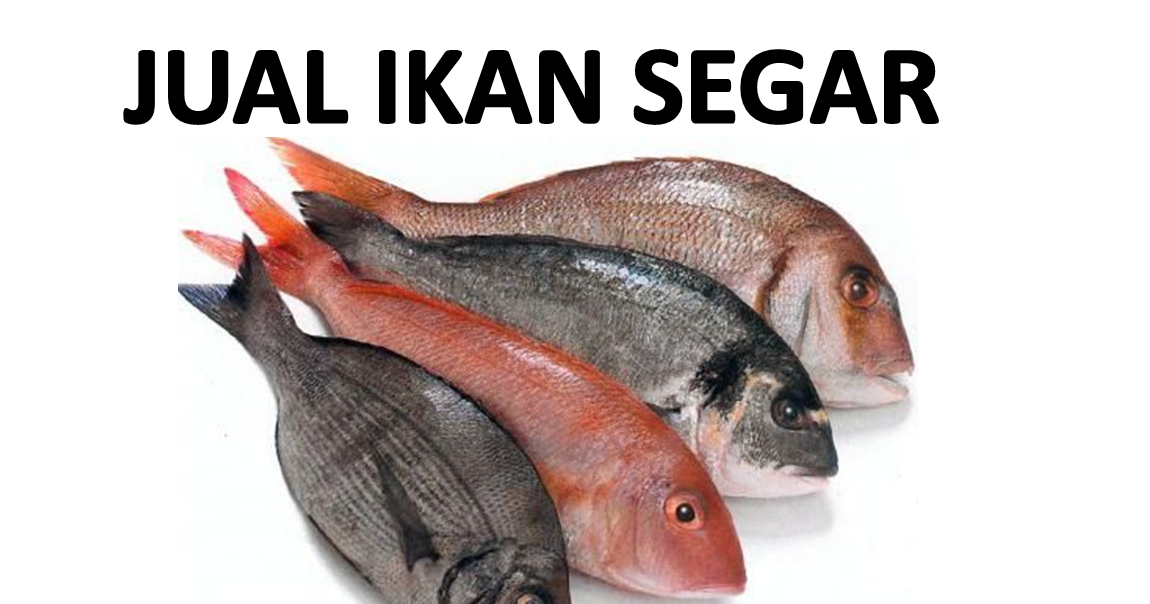 Detail Ikan Segar Png Nomer 29