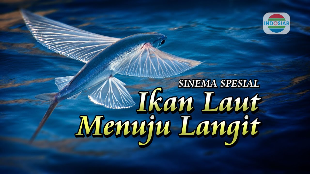 Detail Ikan Terbang Air Tawar Nomer 36