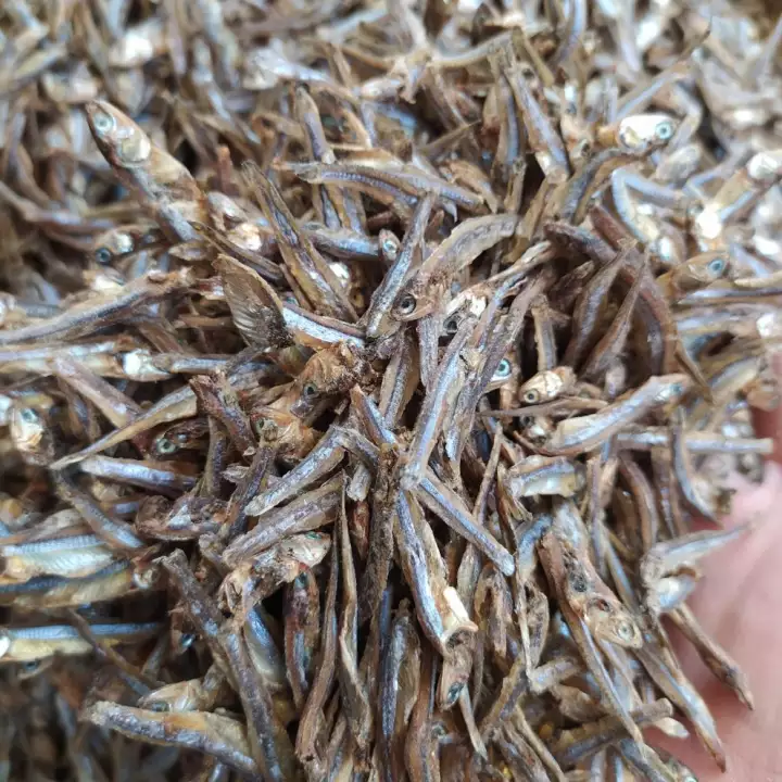 Detail Ikan Teri Hitam Nomer 43