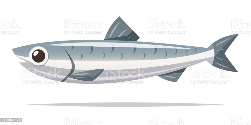Detail Ikan Teri Vector Nomer 4