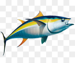 Detail Ikan Tuna Animasi Nomer 14