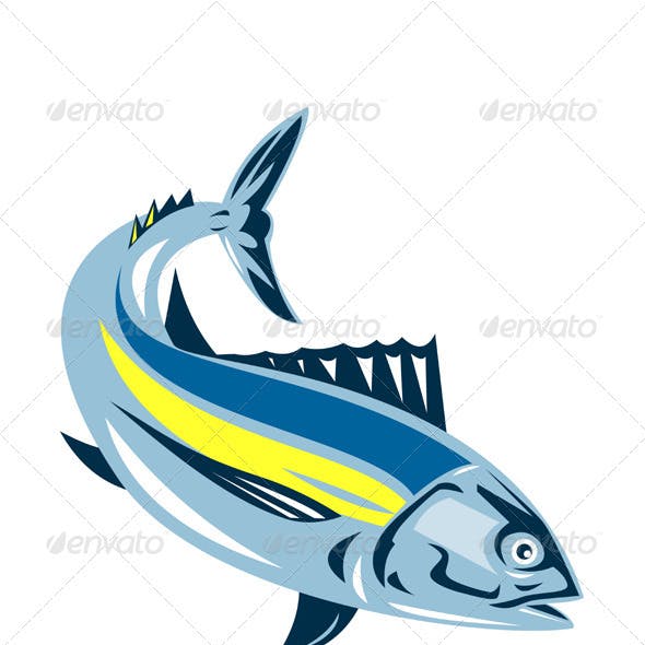 Detail Ikan Tuna Animasi Nomer 16