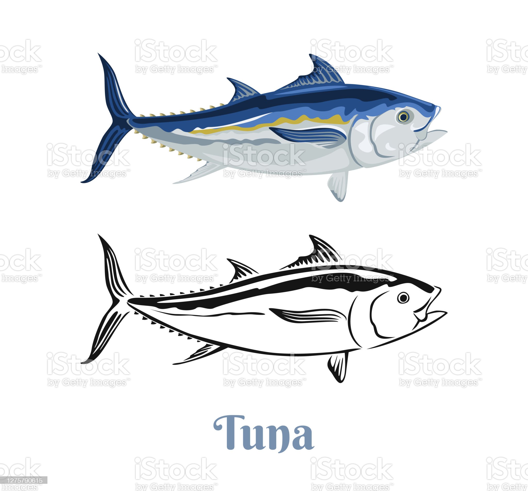 Detail Ikan Tuna Animasi Nomer 19