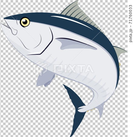 Detail Ikan Tuna Animasi Nomer 21