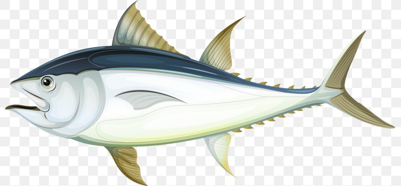Detail Ikan Tuna Animasi Nomer 4