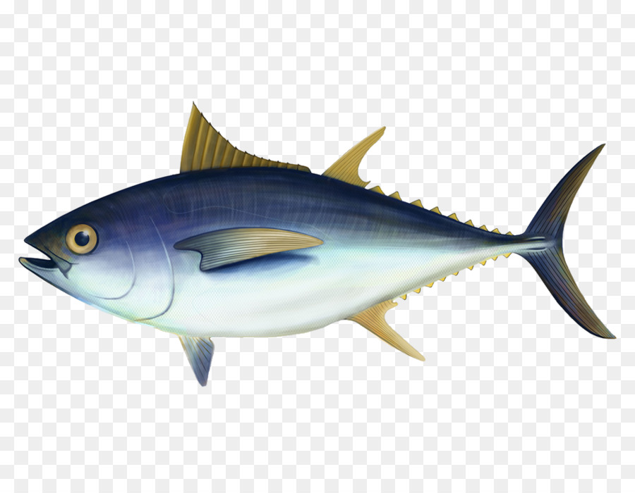 Ikan Tuna Png - KibrisPDR