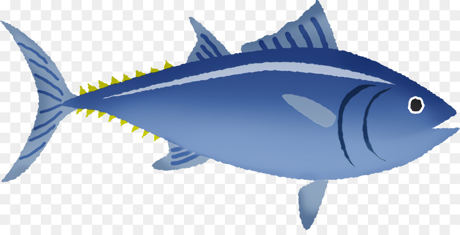 Detail Ikan Tuna Png Nomer 28