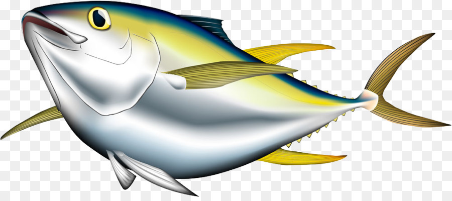 Detail Ikan Tuna Png Nomer 3