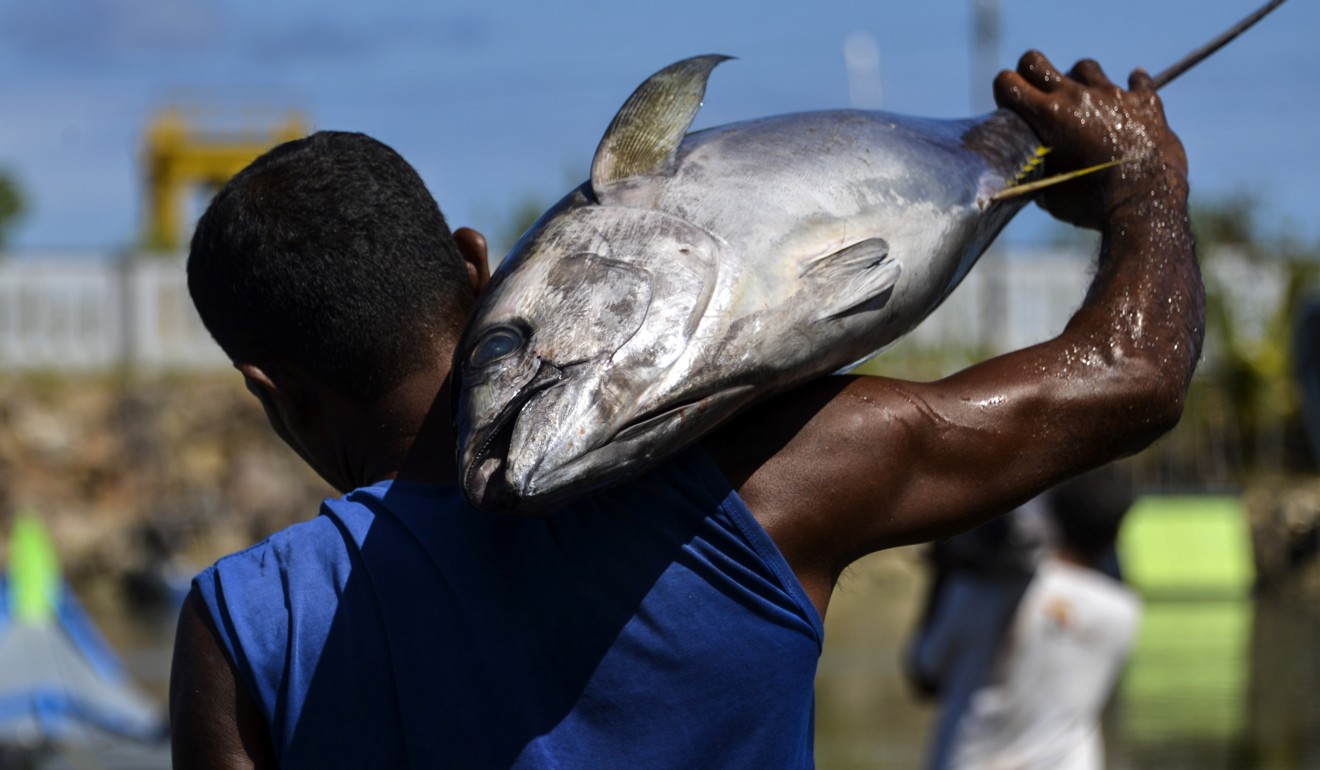 Detail Ikan Tuna Png Nomer 36