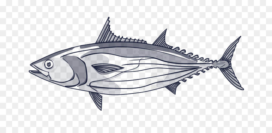 Detail Ikan Tuna Png Nomer 41