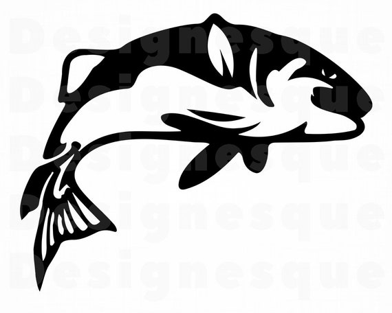 Detail Ikan Vector Png Nomer 9