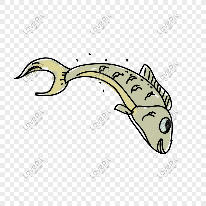 Detail Ikan Vector Png Nomer 15