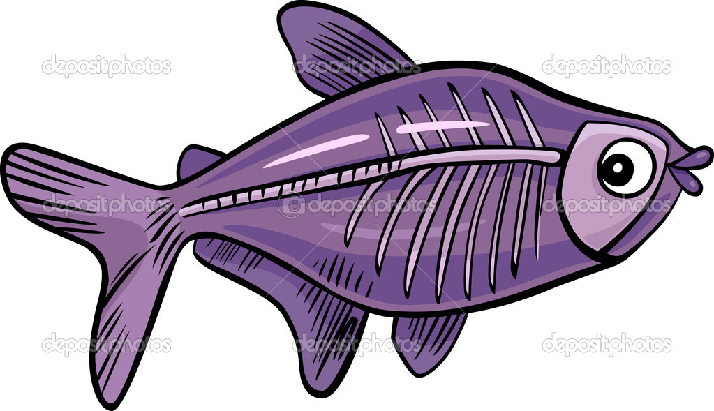 Detail Ikan X Ray Nomer 29