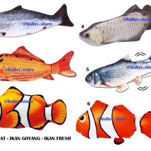 Detail Ikan Yang Hidup Nomer 15