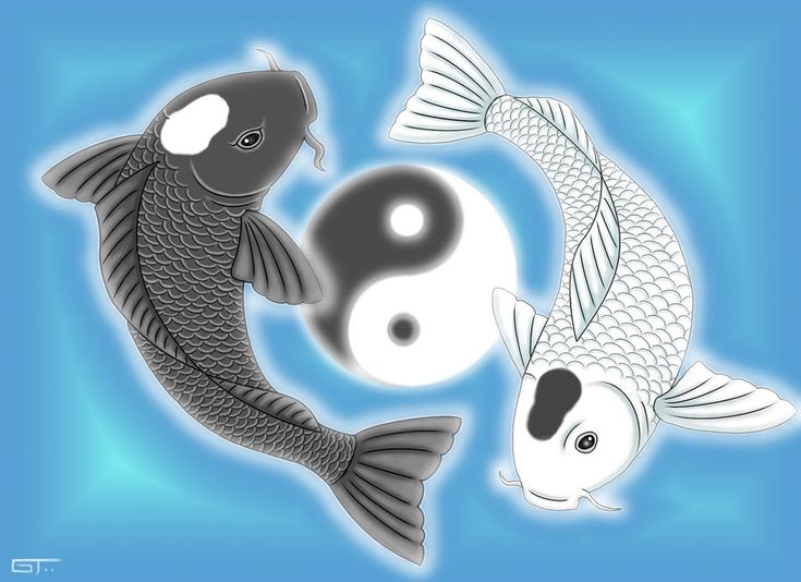 Detail Ikan Yin Dan Yang Nomer 27