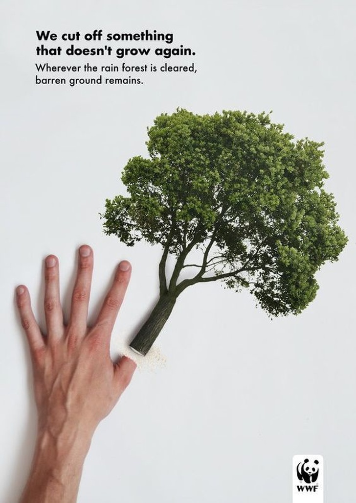 Detail Iklan Sosial Gambar Pohon Nomer 9