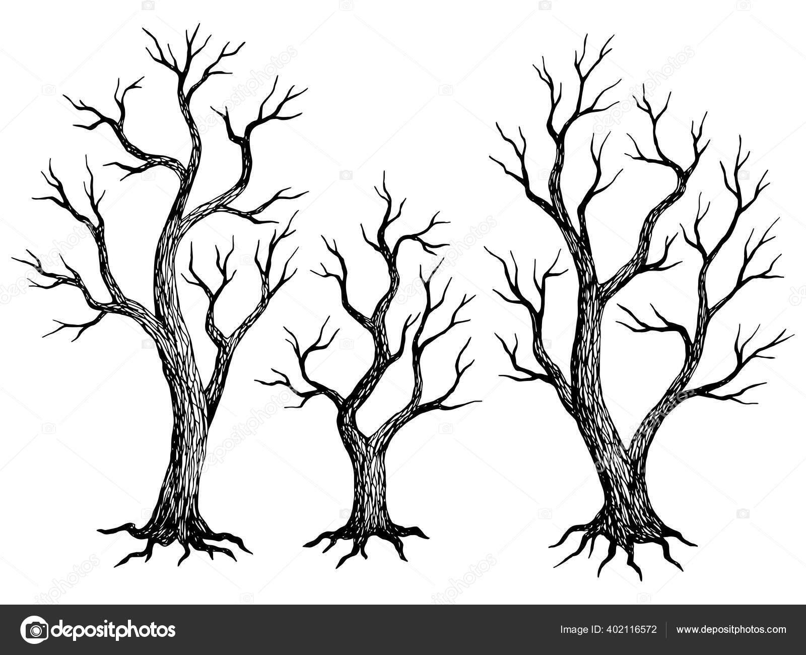 Detail Iklan Sosial Gambar Pohon Hitam Putih Nomer 4