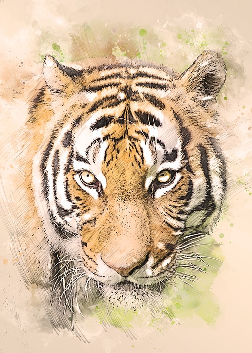 Detail Ilustrasi Gambar Kepala Harimau Nomer 23