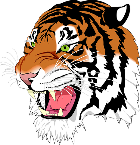 Detail Ilustrasi Gambar Kepala Harimau Nomer 32