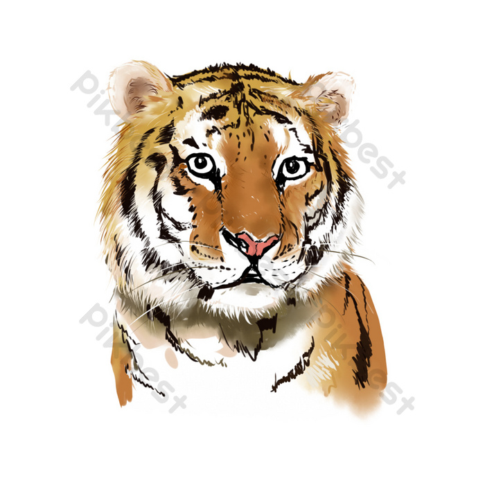 Detail Ilustrasi Gambar Kepala Harimau Nomer 36