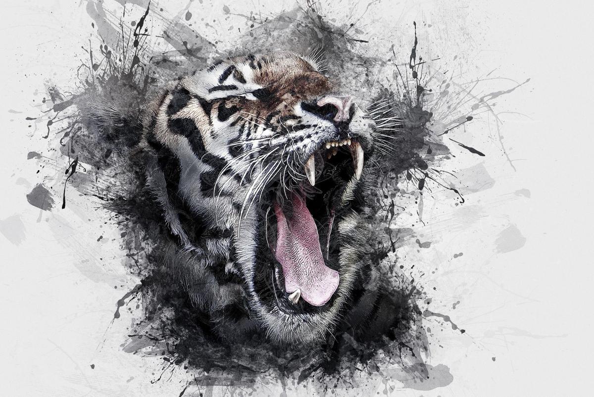 Detail Ilustrasi Gambar Kepala Harimau Nomer 37