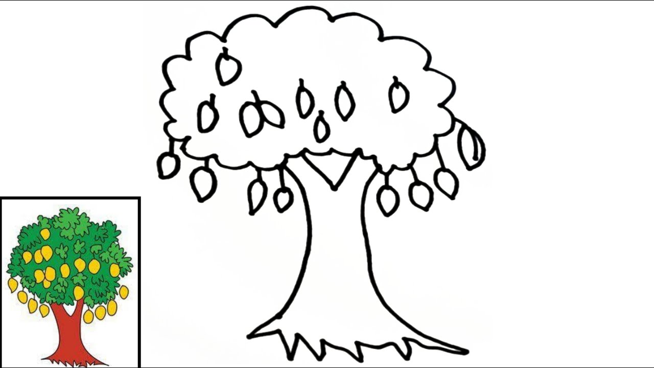 Ilustrasi Gambar Pohon Mangga - KibrisPDR