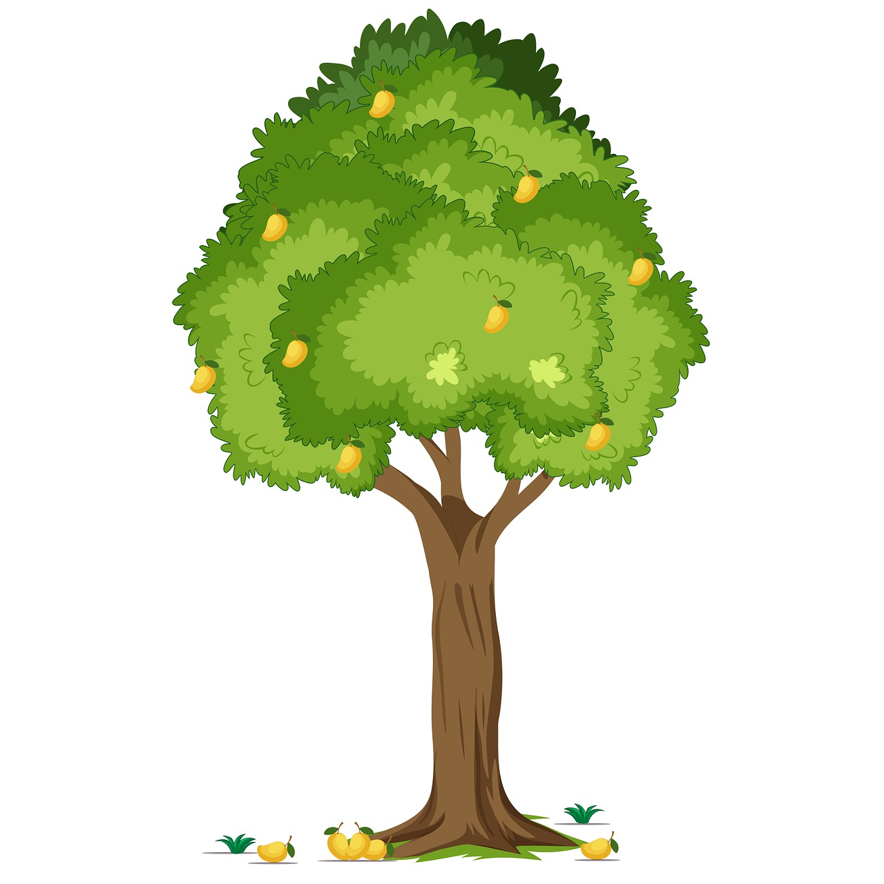 Detail Ilustrasi Gambar Pohon Mangga Nomer 16