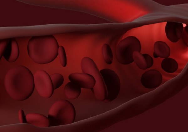 Detail Ilustrasi Gambar Sistem Peredaran Darah Besar Dan Kecil Nomer 27