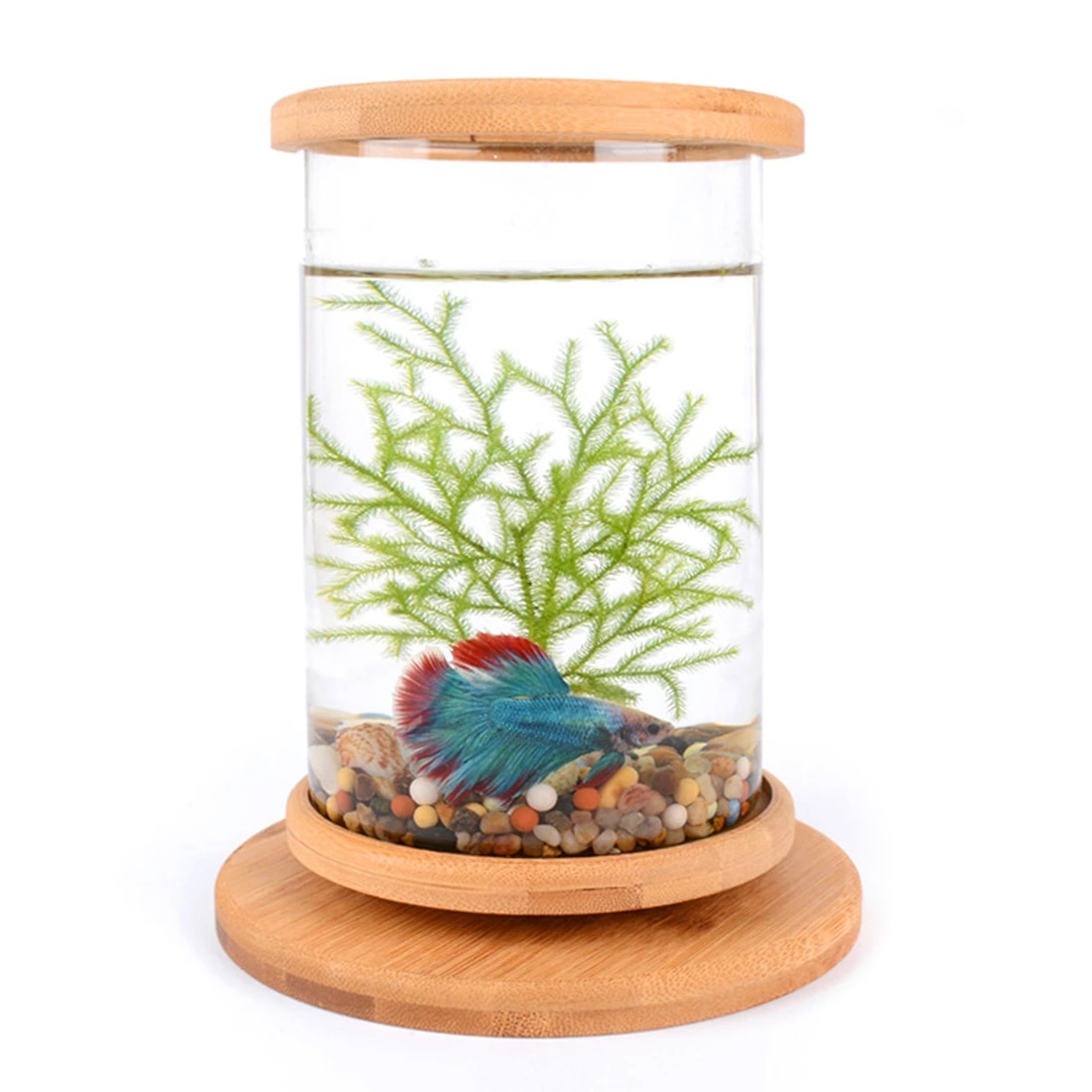 Detail Aquarium Bambus Nomer 5