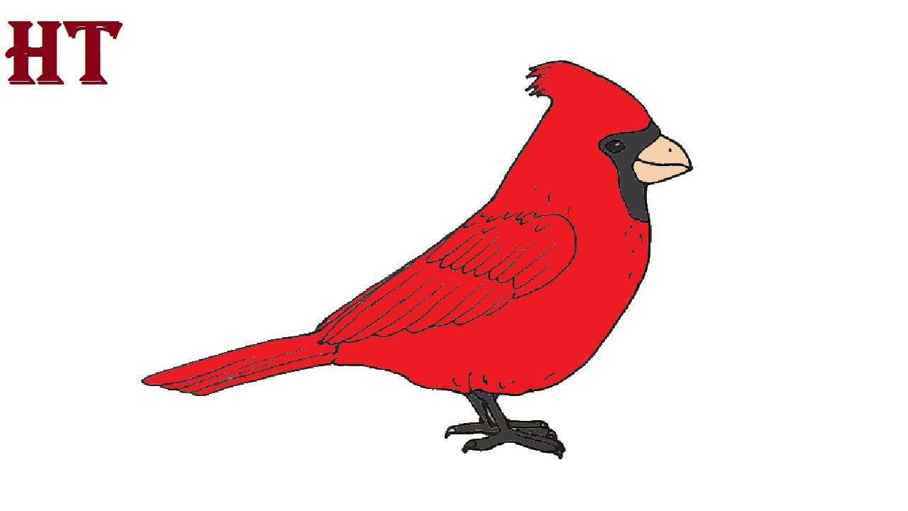 Detail Bird Doodle Nomer 24