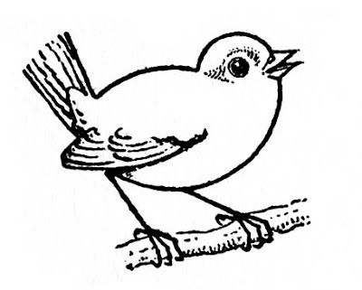 Detail Bird Doodle Nomer 7