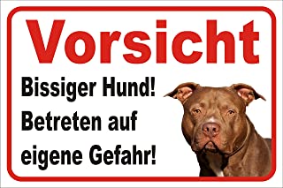 Detail Englisch Staffordshire Bullterrier Kaufen Nomer 10