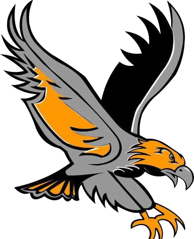 Detail Hawk Logo Png Nomer 23