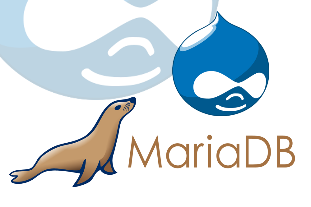 Detail Mariadb Logo Nomer 21