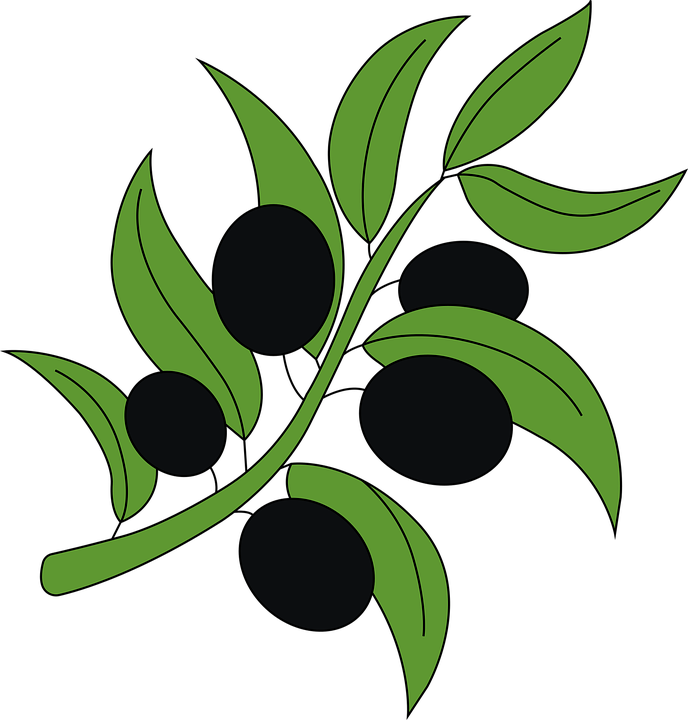 Oliven Obst - KibrisPDR