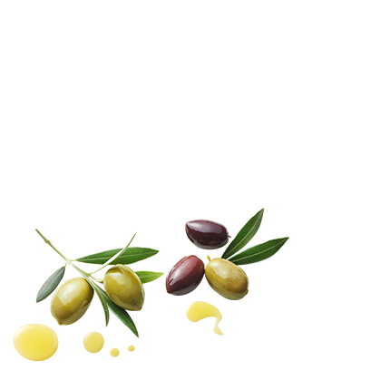Detail Oliven Obst Nomer 18